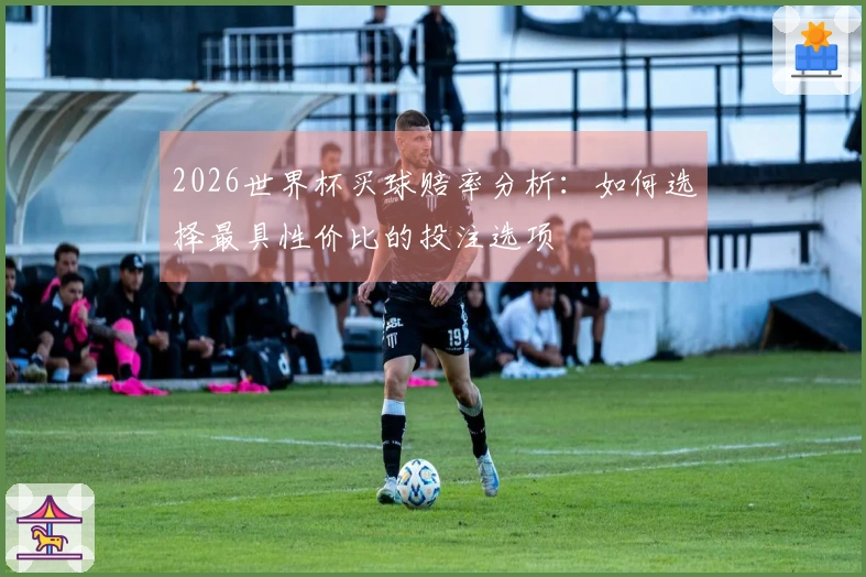 2026世界杯买球赔率分析：如何选择最具性价比的投注选项