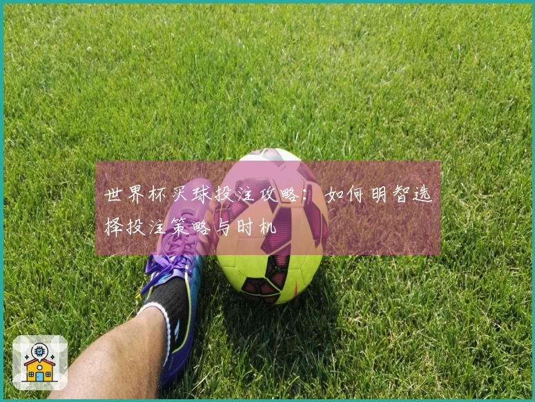 世界杯买球投注攻略：如何明智选择投注策略与时机