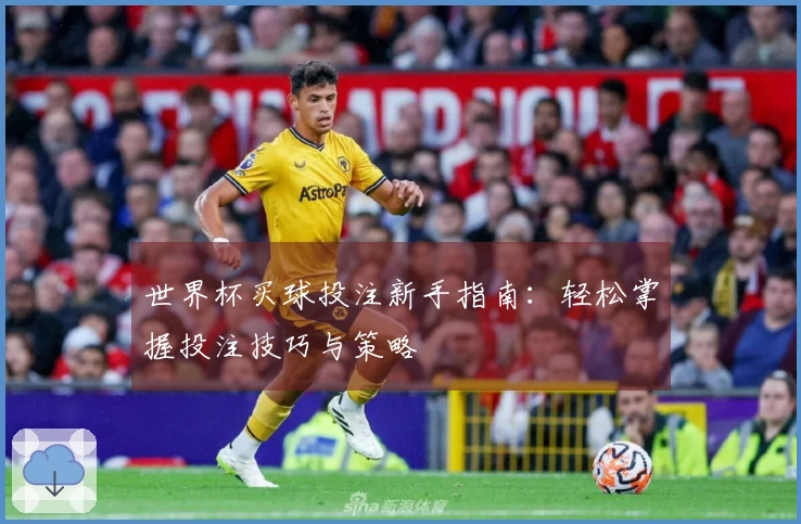 世界杯买球投注新手指南：轻松掌握投注技巧与策略