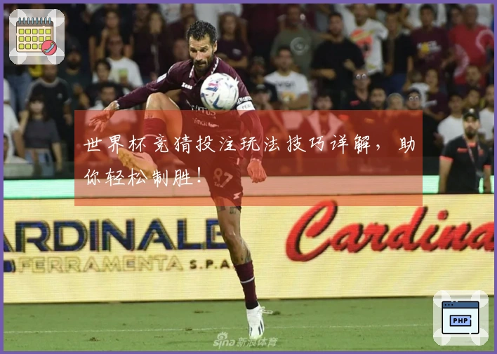 世界杯竞猜投注玩法技巧详解，助你轻松制胜！