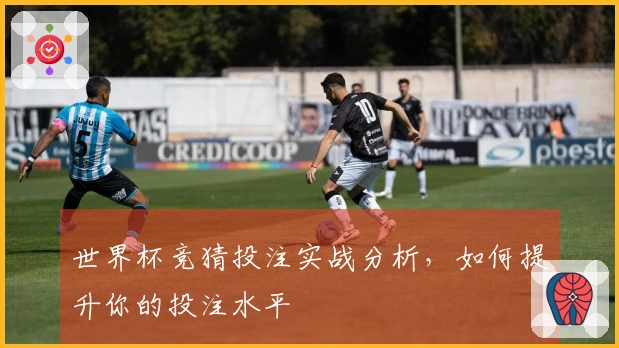 世界杯竞猜投注实战分析，如何提升你的投注水平