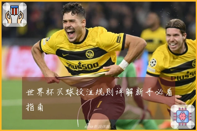 世界杯买球投注规则详解新手必看指南